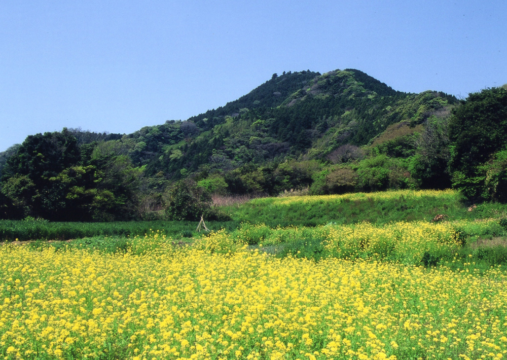  5．【南房総市】富山（とみさん）『南総里見八犬伝』の舞台！ 登りごたえがある2つのピークを持つ山    