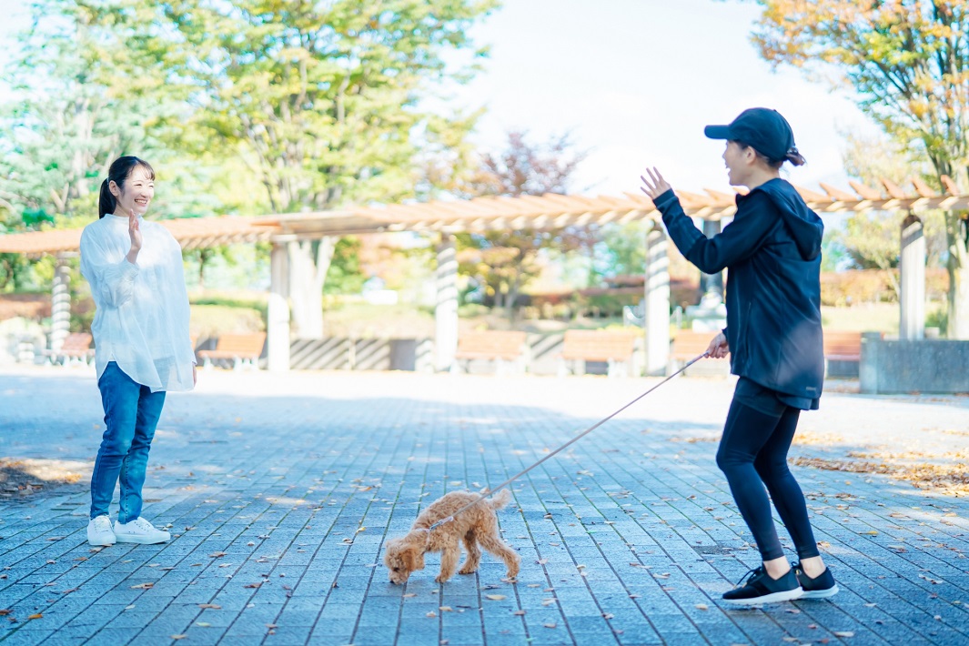 犬の散歩中の会話のイメージ