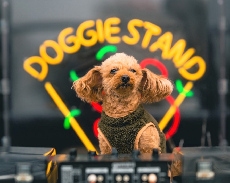 DJ犬