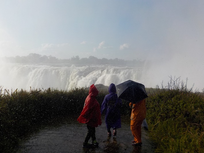ビクトリアの滝