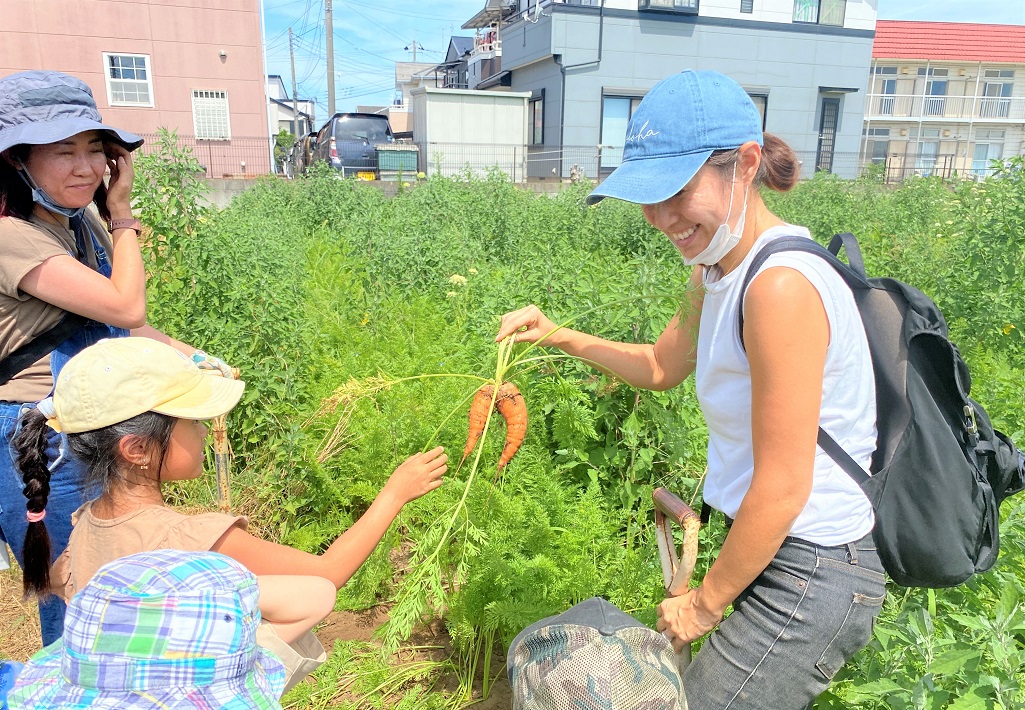 変わった形のニンジンを収穫
