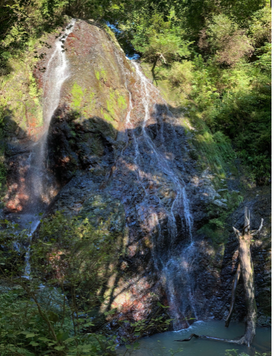  10位【南房総市】坊滝（ぼうたき）　25メートルの落差が迫力満点！　大日山へと続く遊歩道散策もおすすめ 