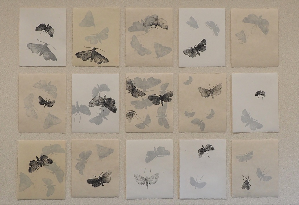 Kanda & Oliveira 「静かな友達 ‒ Quiet Friend」展