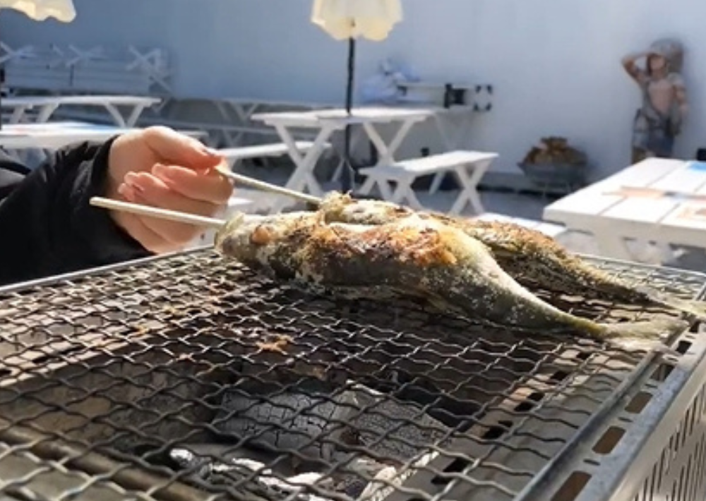 【館山市】晴れパークたてやま　海水魚であるアジを釣って塩焼きに！ 