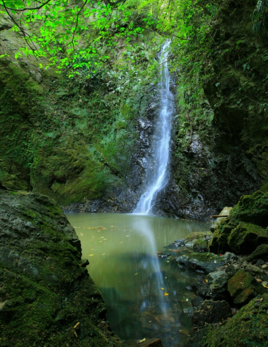 【南房総市】黒滝（くろたき）花園奥地の水を集めてまっすぐに15メートル落ちる滝は圧巻！