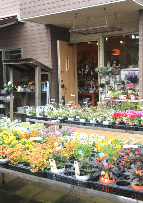 【市川市】「大川原梅園＆HERB GARDEN」で癒やしのひとときを！　さまざまなハーブの魅力に触れ、自家製の梅干しが買える 