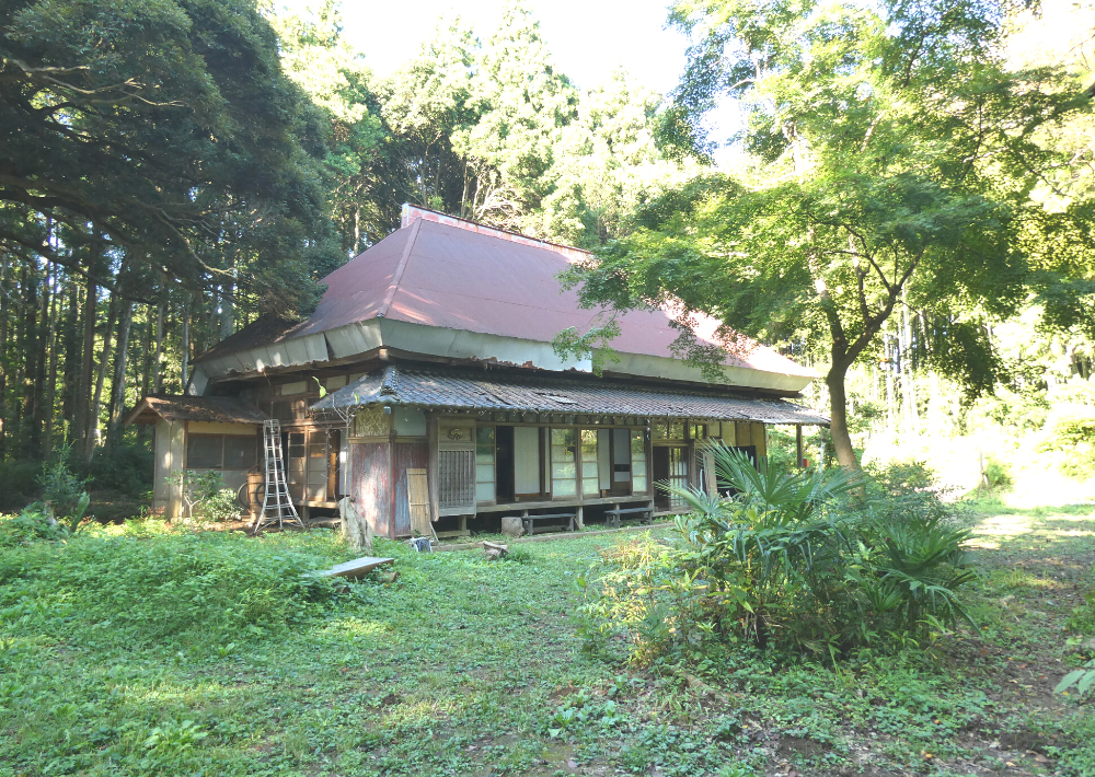 市原市イドクボンガ