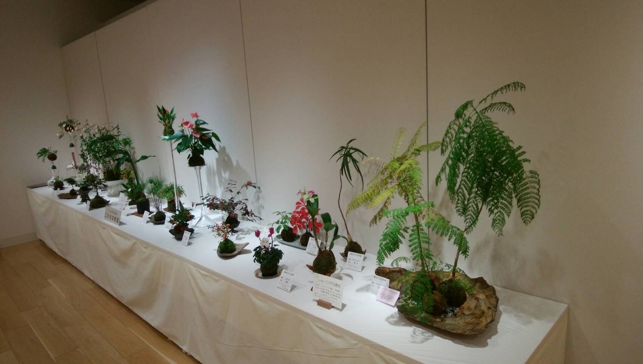 【柏市】柏市文化祭2022