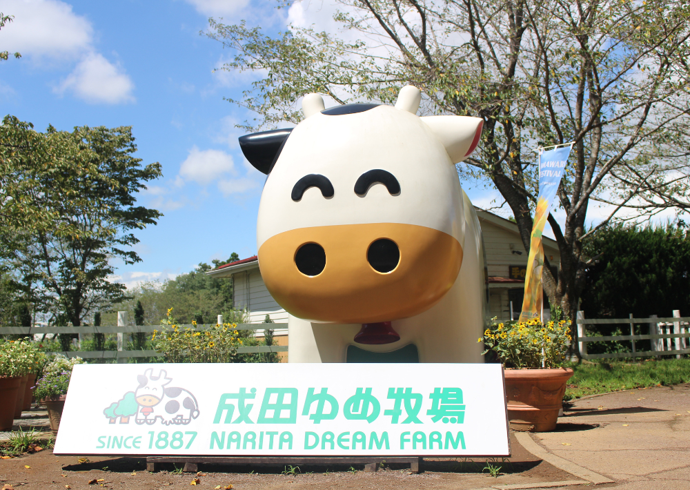【成田市】成田ゆめ牧場　2022年で創業135周年！　動物とのふれあい体験やこだわりの乳製品が好評    