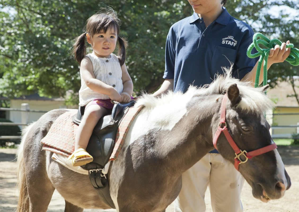 【成田市】成田ゆめ牧場　2022年で創業135周年！　動物とのふれあい体験やこだわりの乳製品が好評