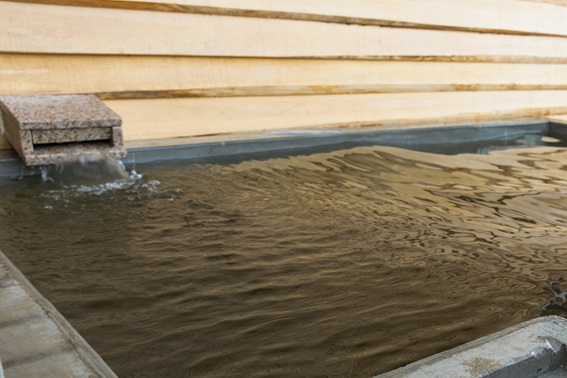 【千葉県おすすめサウナ】館山市「Sea Sauna Shack」