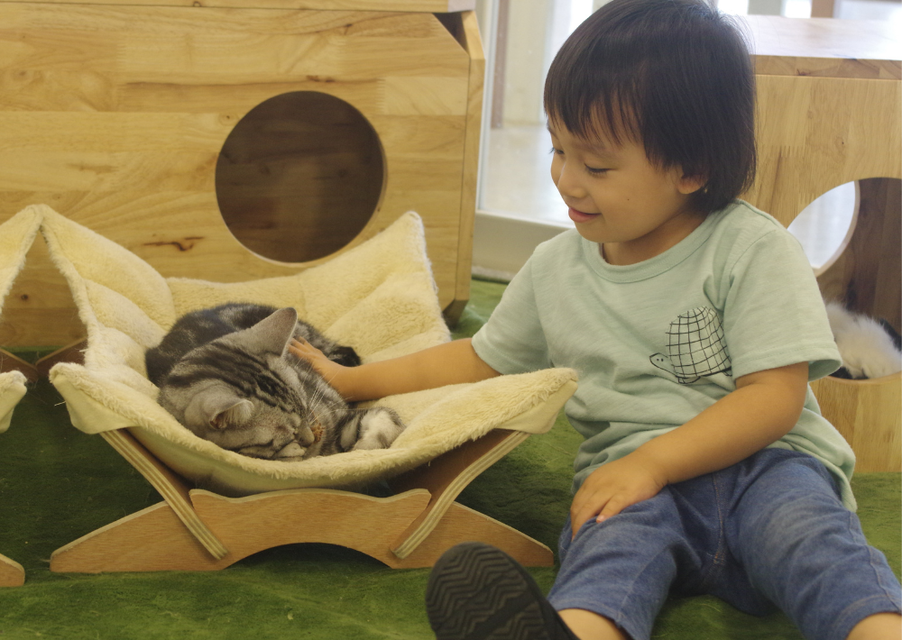 14. 【印西市】 Moff animal world BIGHOP ガーデンモール印西店　雨が降っても安心な室内動物園！　お買い物の合間に動物たちに癒やされて    