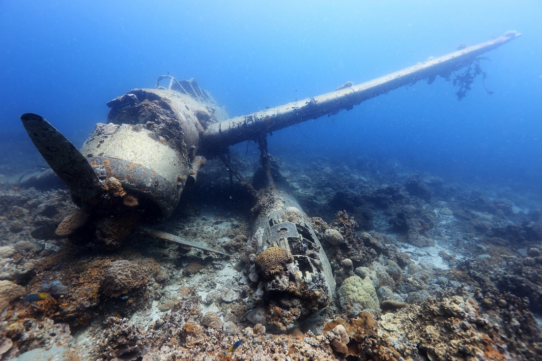 日本海軍の零式三座水上偵察機（パラオ共和国／水深12m）