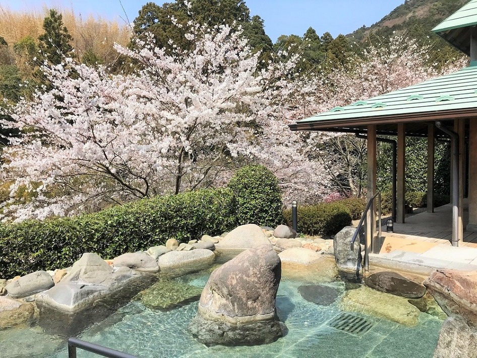 春には桜を見ながら入浴
