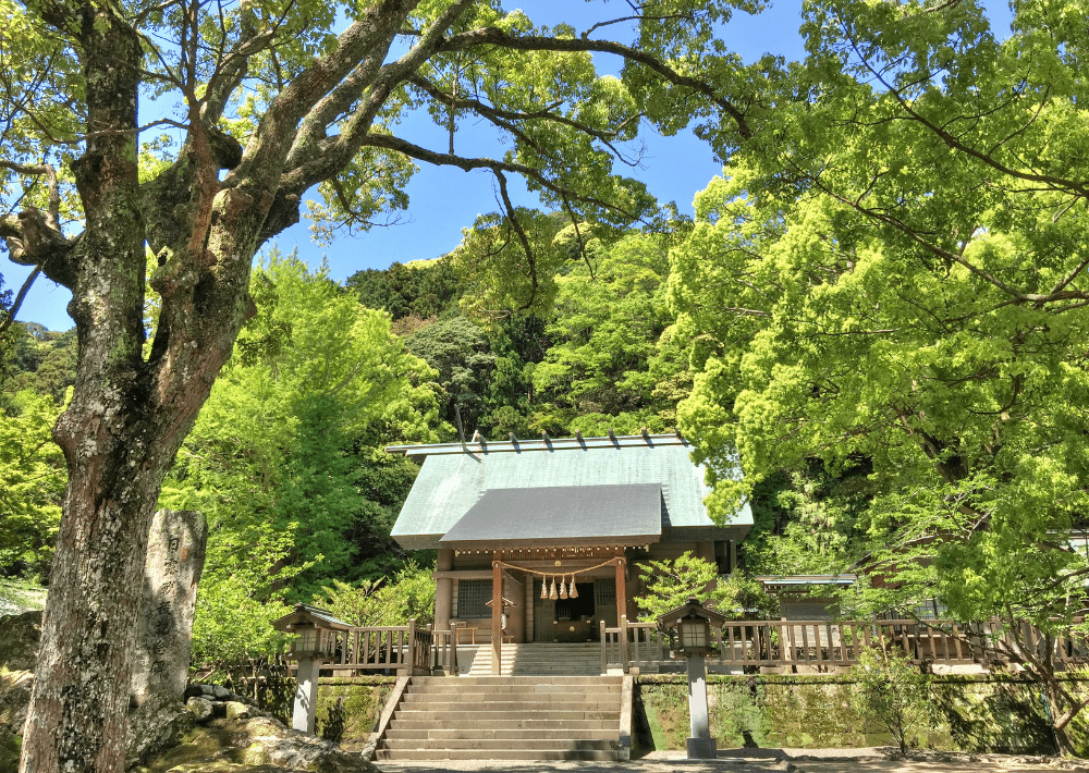 【館山市】「安房神社（あわじんじゃ）」　ツバメやメジロ、ホオジロなどの野鳥や季節の花々を楽しめる自然豊かな立地 