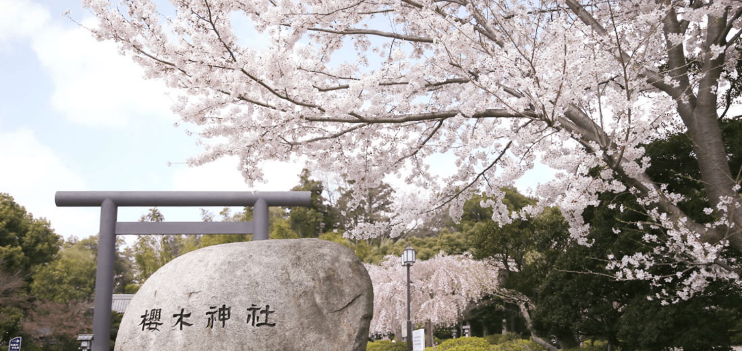 【野田市】「櫻木神社（さくらぎじんじゃ） 」桜モチーフのお守りや御朱印、オリジナルグッズのかわいさに目がハートに 
