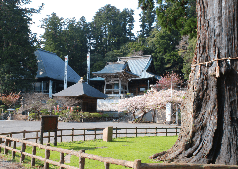 【鴨川市】「清澄寺（せいちょうじ） 」日本一早い初日の出を拝める山の頂上近くの静謐なお寺