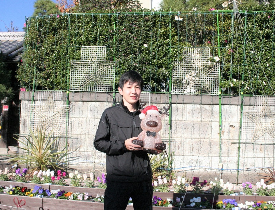 内田さん家のイルミネーション