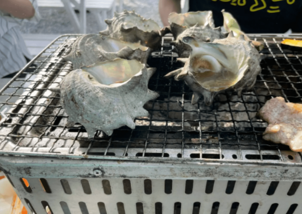 9. 【館山市】晴れパークたてやま　大人から子どもまで楽しめる、釣りと浜焼き、直売所の複合施設