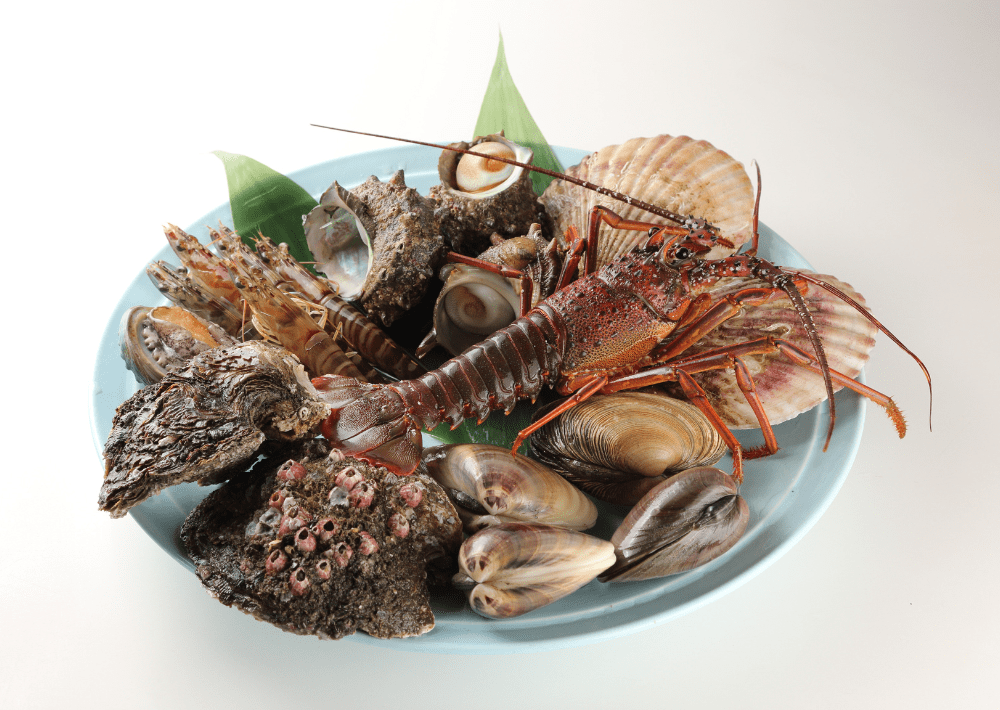 【木更津市】海鮮茶屋 活き活き亭 富士見店　水産会社直営だから魚介が新鮮で種類豊富