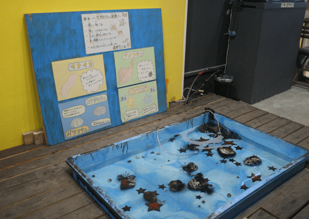 銚子市「世界一ちっちゃな水族館」