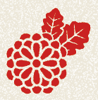 菊の花