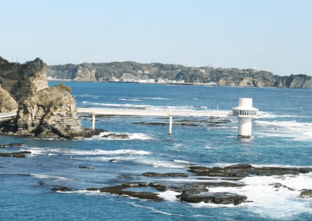 かつうら海中公園の「海中展望塔」で海の中が観察できるリアル水族館！