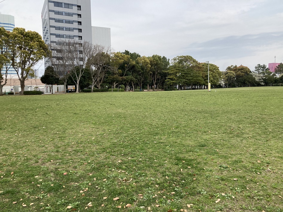 【千葉市美浜区】幕張海浜公園の「芝生広場」でピクニック！