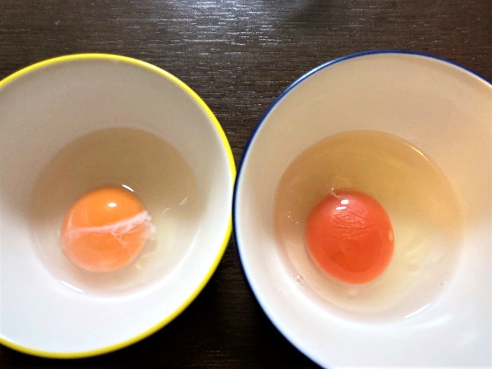 船橋たまご