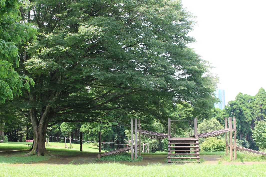 【千葉市緑区】昭和の森の「芝生の広場」でピクニック！