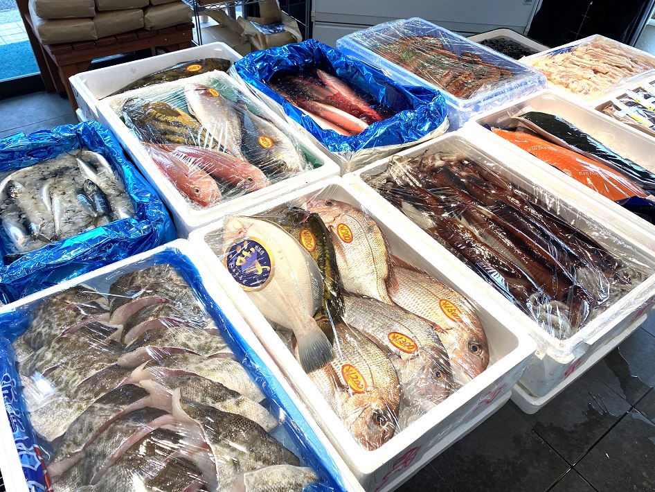 泉銀の魚 鮮魚