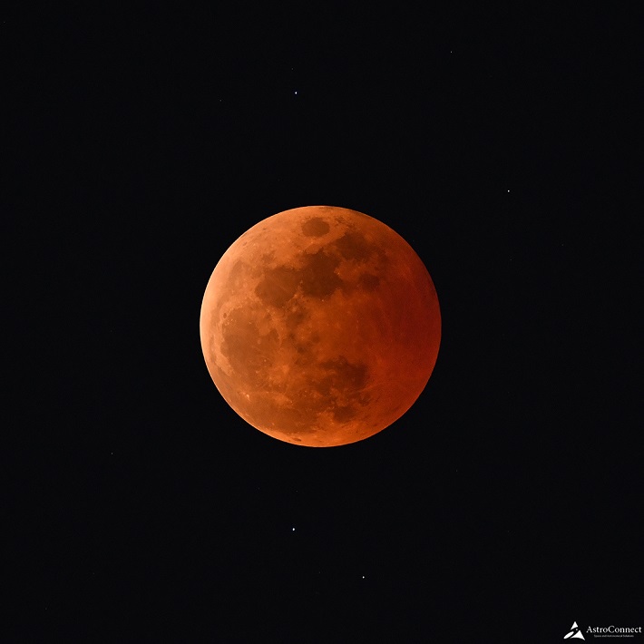 【市川市】「天井プラネタリウム」で天体を楽しもう★3月18日（土）開催