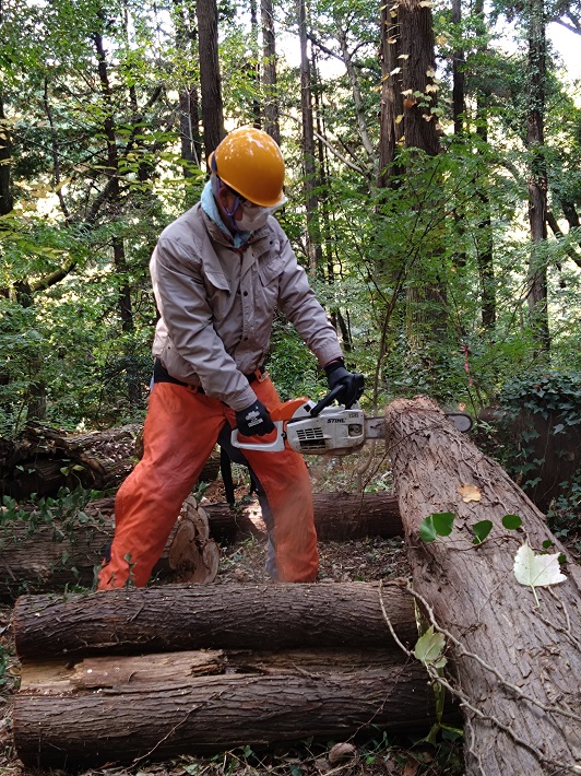 【八千代市】自然を楽しむことから始める「里山楽校」整備ボランティア人材育成講座を開講