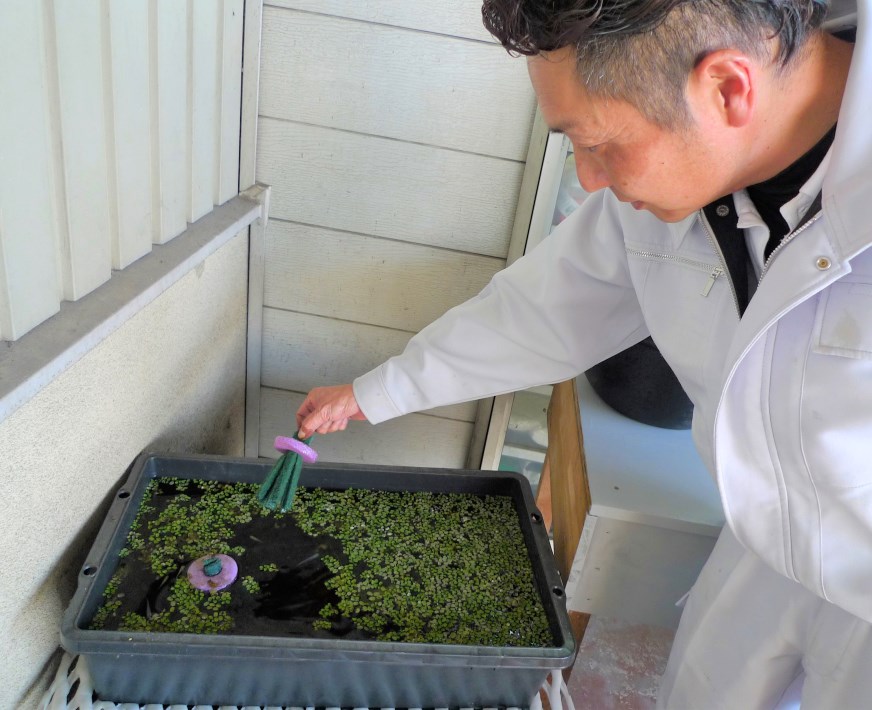 【埼玉県】「JAさいかつフレッシュファーム」 店長菊池雅史さん