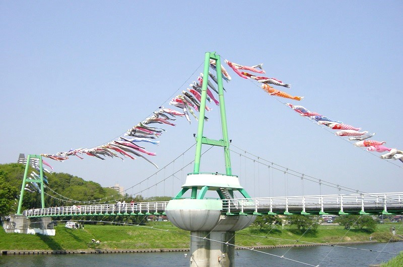 新川ゆらゆら橋 こいのぼり大遊泳