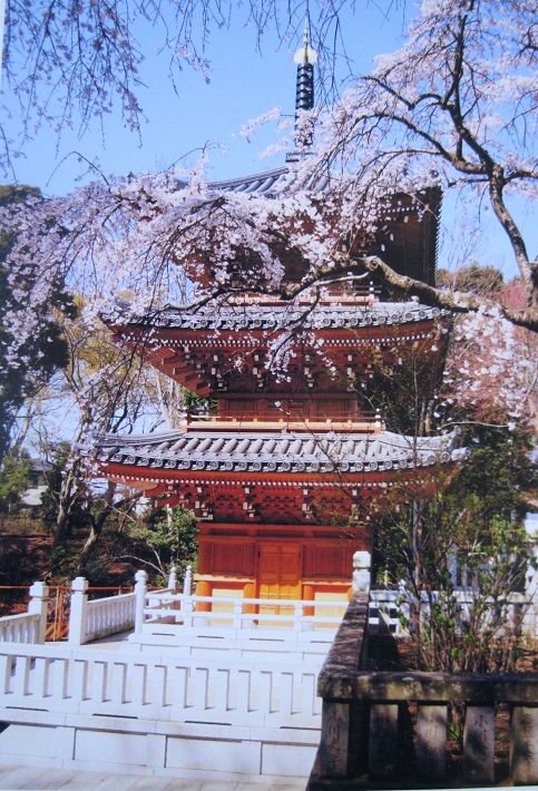 船橋市 御瀧山 桜コンサート