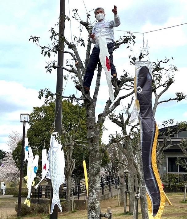 変わり種こいのぼり