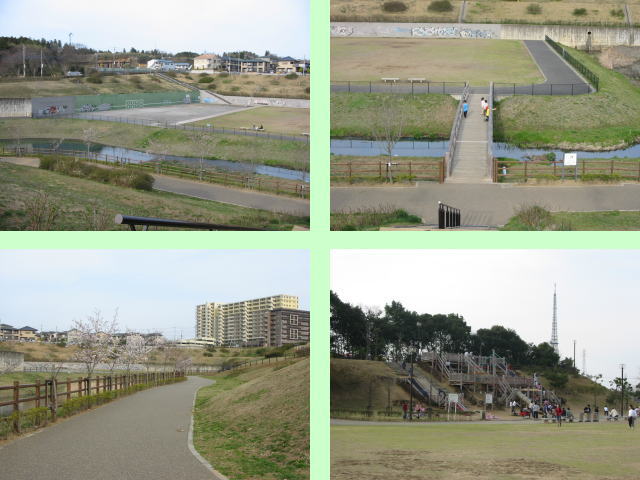 公津の杜公園
