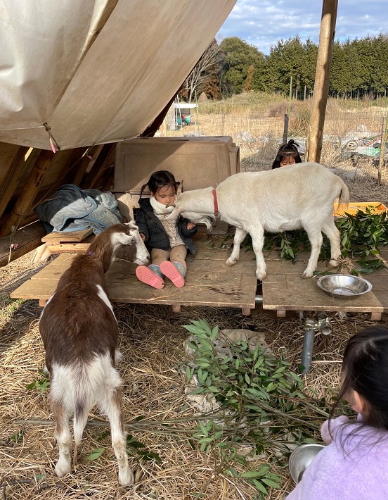 ヤギと子どもたち