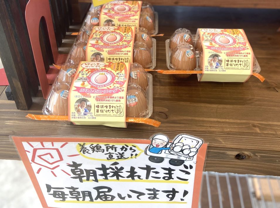 【木更津市】韓国屋台風ワンパンサンドがモーニングで食べられる「ハロートースト」