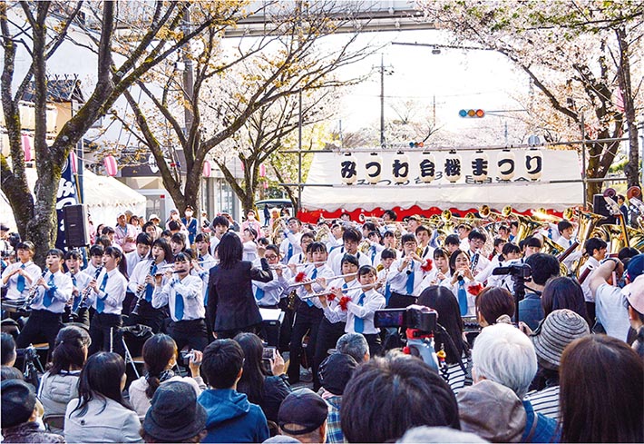 【千葉市若葉区】第26回みつわ台桜まつり!4月1日(土)2日(日)開催決定