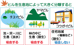 ヒルを生息地によって大きく分類すると