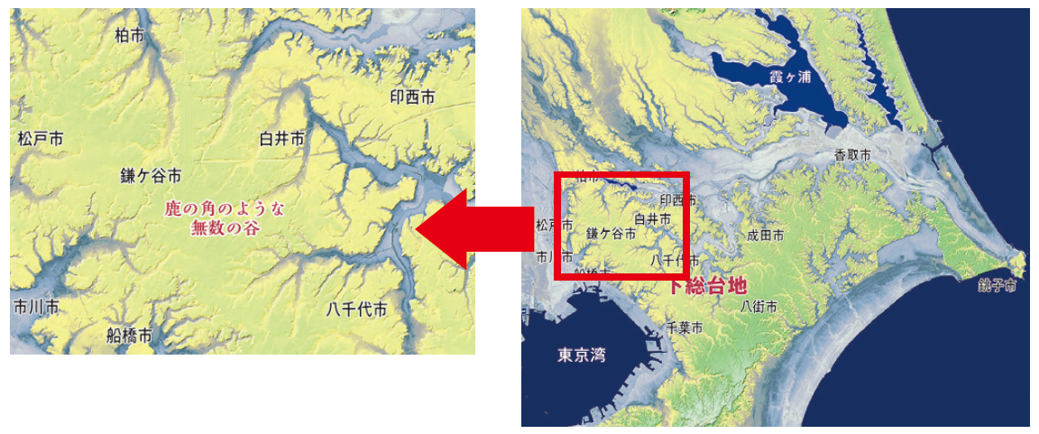鹿の角のように細かく枝分かれした無数の谷