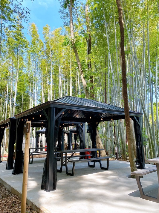 【佐倉市】バーベキュー×サウナの日帰りプラン「Sauna Campかぐやの森」