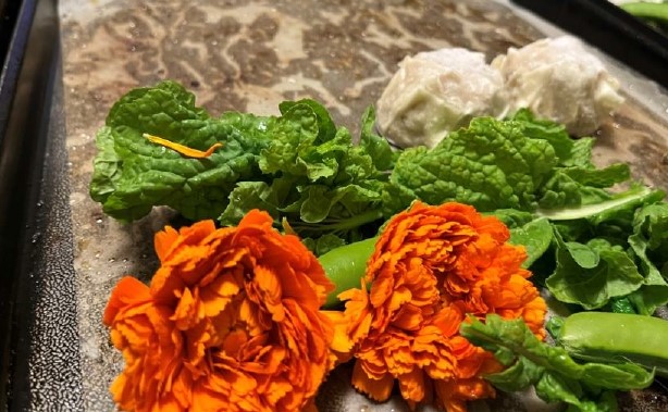 【南房総市】幸せを呼ぶ花「カレンデュラ（金盞花／きんせんか）」奇跡の物語