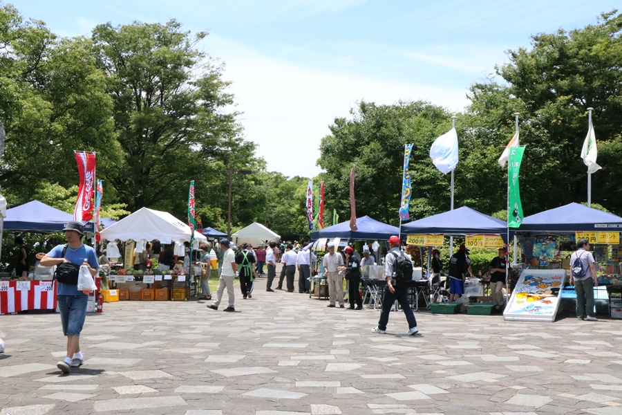 習志野市 谷津干潟