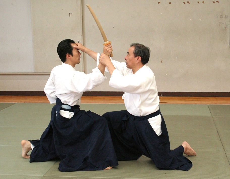 長谷川流和術
