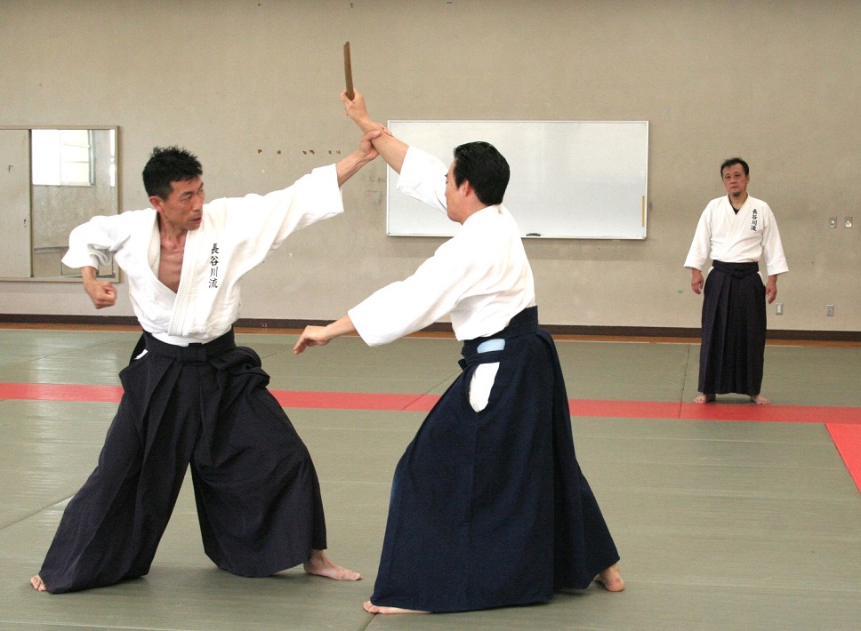長谷川流和術