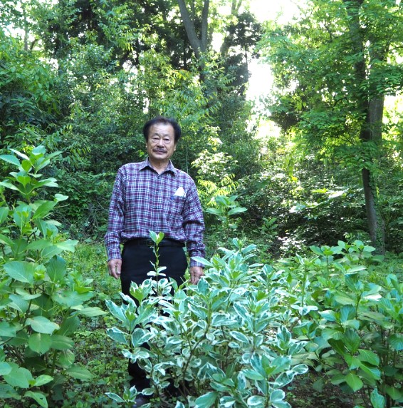 【船橋市】御瀧不動尊「蛍の夕べ」ボランティアが支えるふるさとづくり