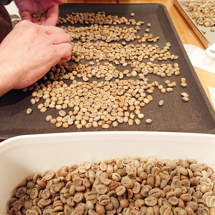 あんとん珈琲の選別風景